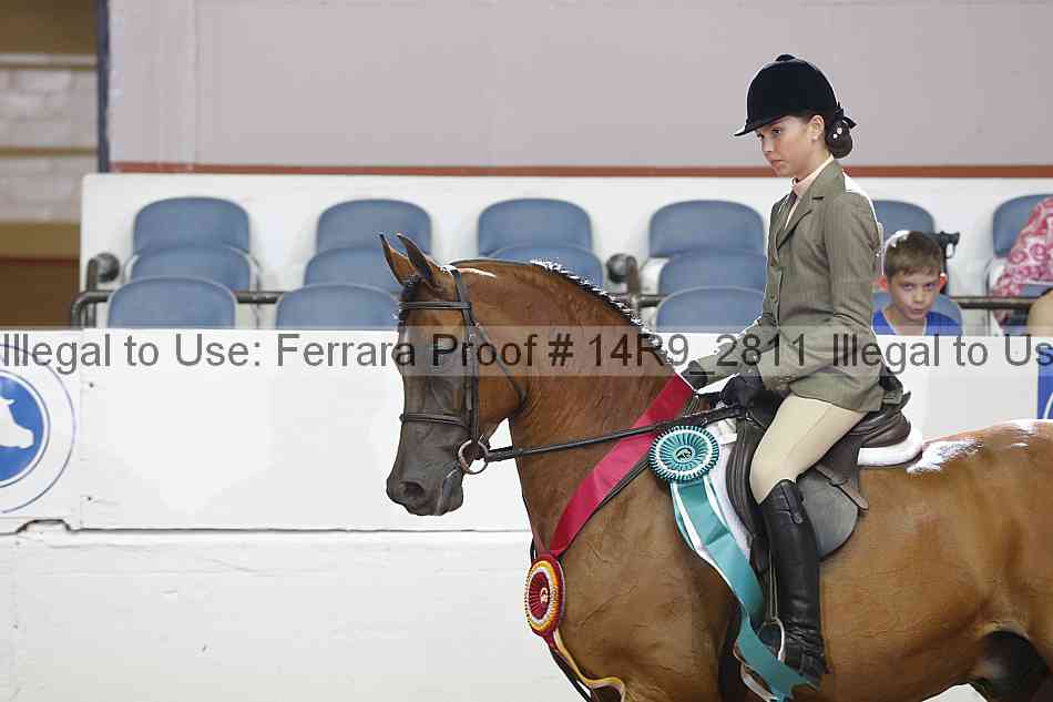 Proof Number 14r9_2811