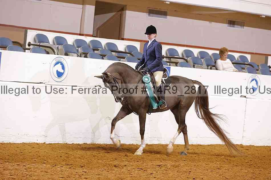 Proof Number 14r9_2817