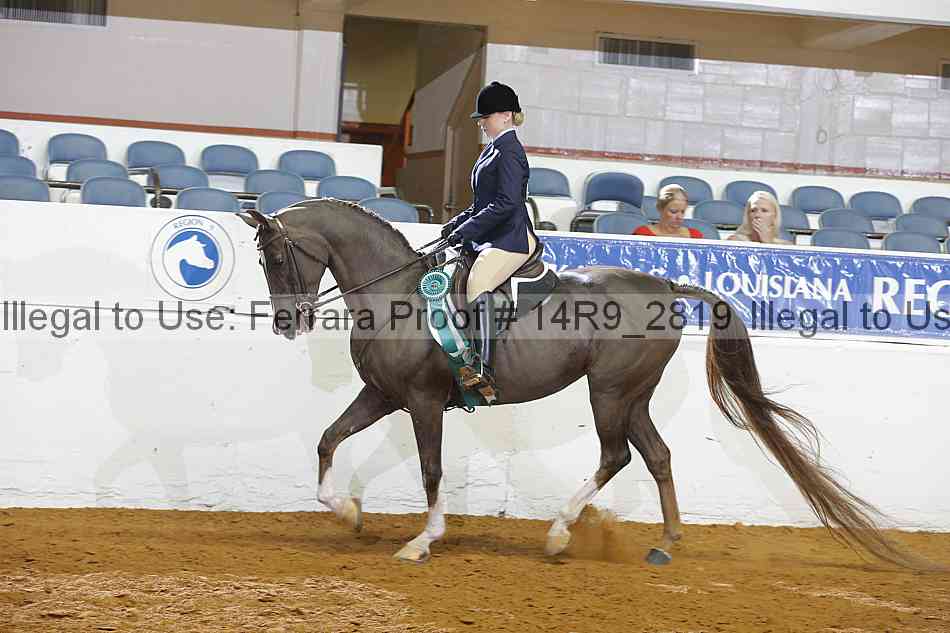 Proof Number 14r9_2819