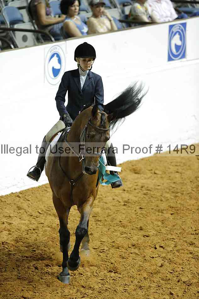 Proof Number 14r9_2824