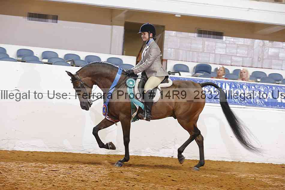 Proof Number 14r9_2832