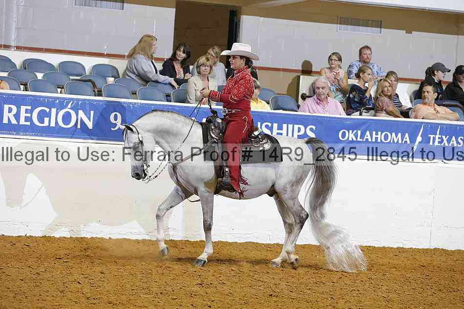 Proof Number 14r9_2845