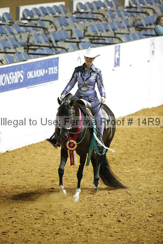 Proof Number 14r9_2869