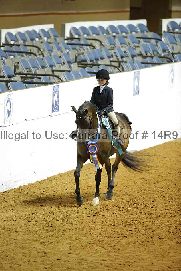 Proof Number 14r9_2941