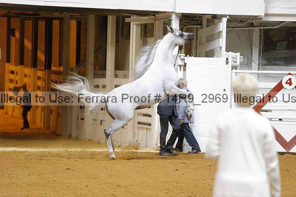 Proof Number 14r9_2969