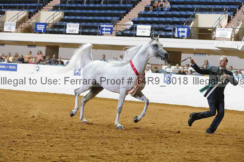 Proof Number 14r9_3018