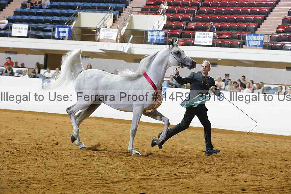 Proof Number 14r9_3019