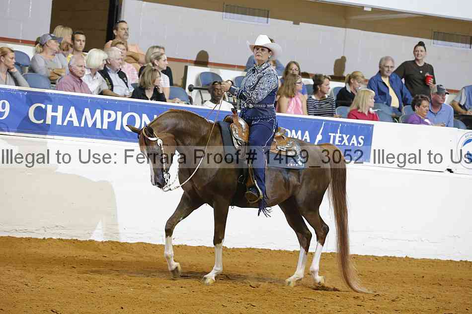 Proof Number 14r9_3052
