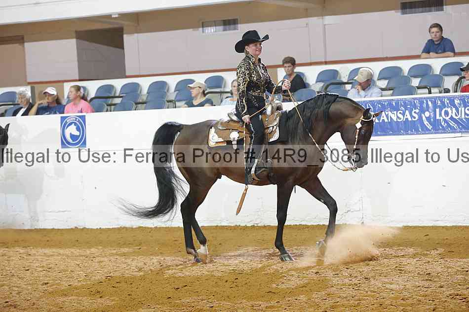 Proof Number 14r9_3085