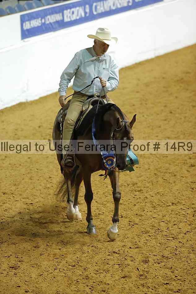 Proof Number 14r9_3103