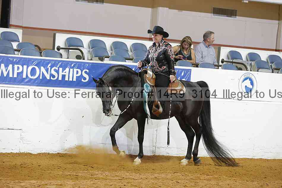 Proof Number 14r9_3104