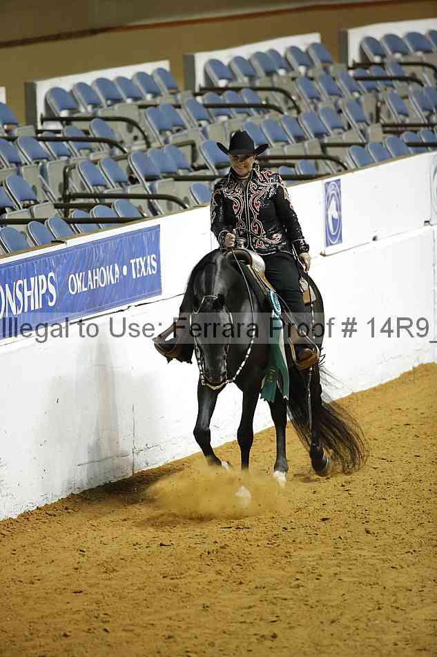 Proof Number 14r9_3108