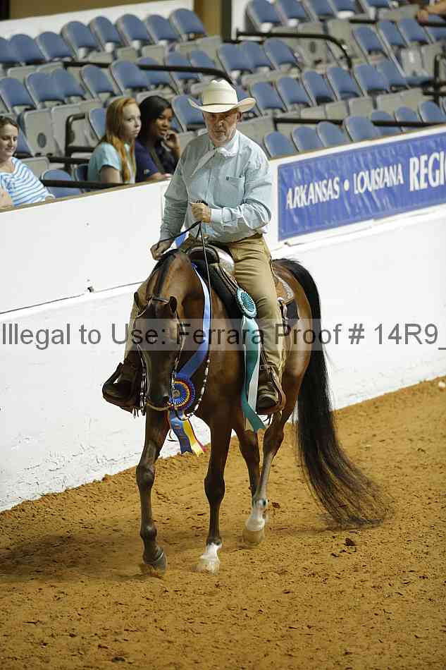 Proof Number 14r9_3131