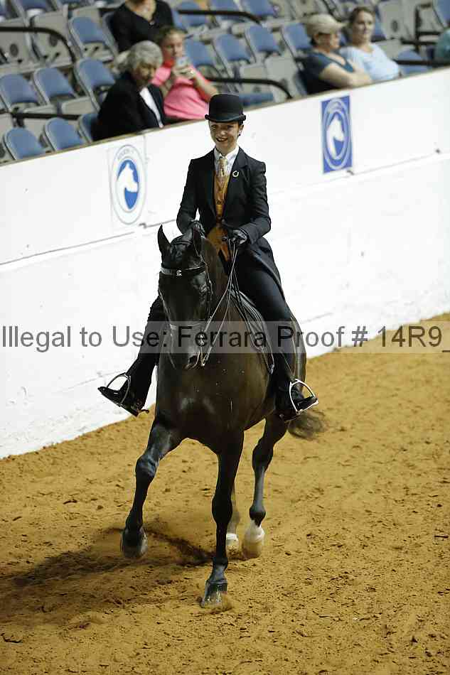 Proof Number 14r9_3139
