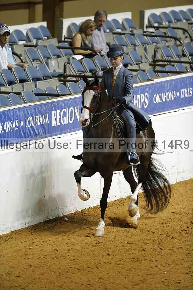 Proof Number 14r9_3140