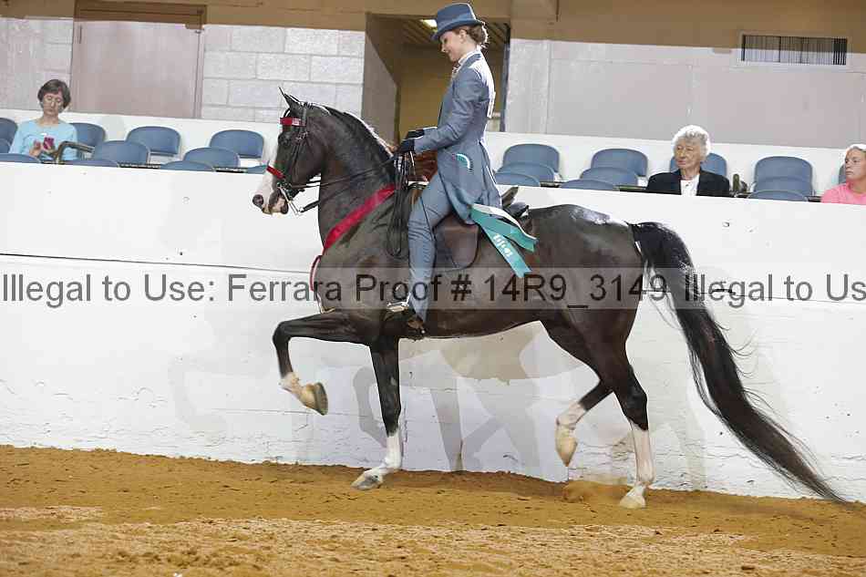 Proof Number 14r9_3149
