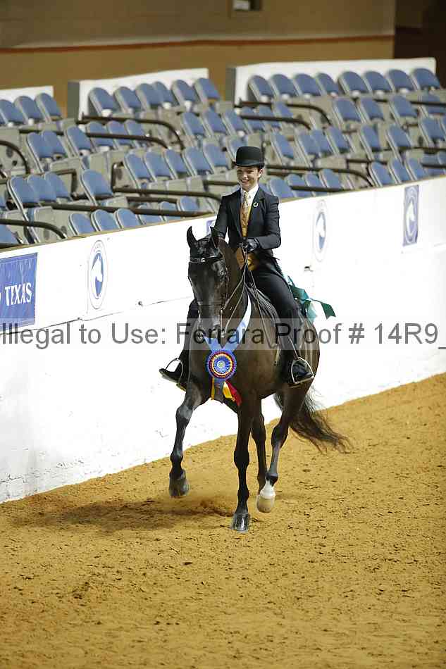 Proof Number 14r9_3153