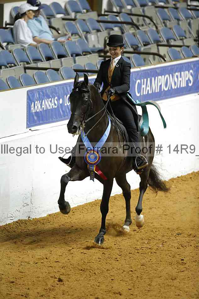 Proof Number 14r9_3154