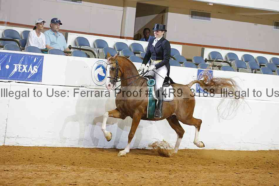 Proof Number 14r9_3188