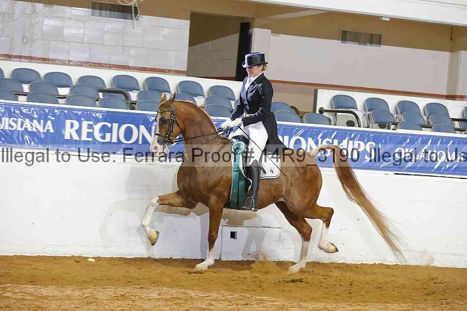 Proof Number 14r9_3190