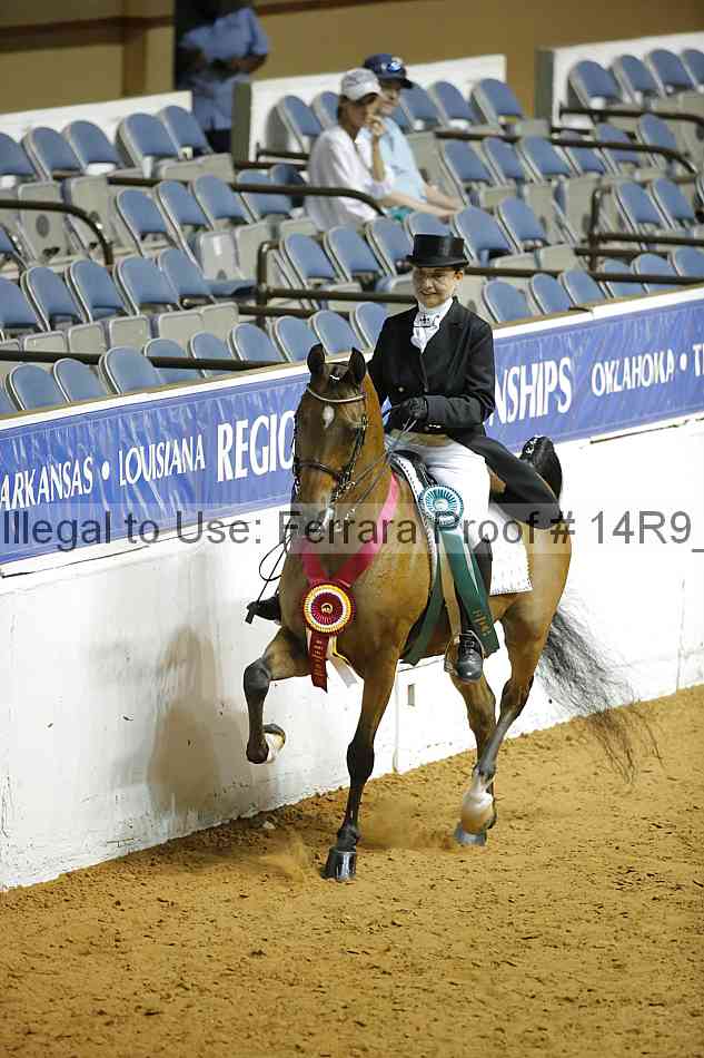 Proof Number 14r9_3194