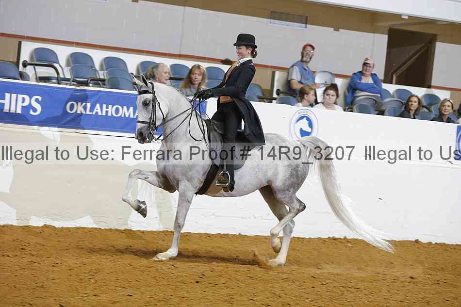 Proof Number 14r9_3207
