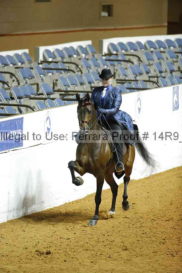 Proof Number 14r9_3214