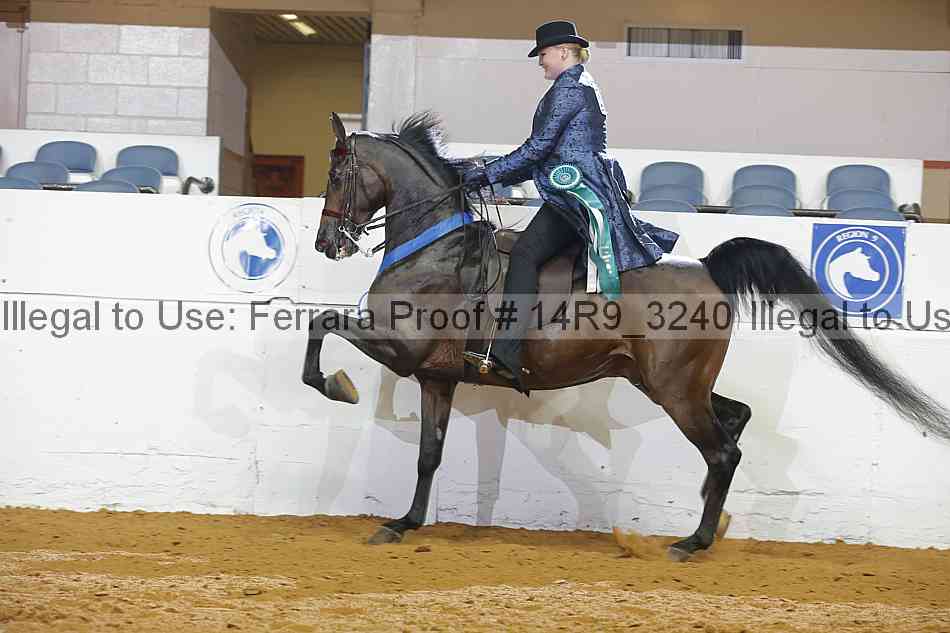 Proof Number 14r9_3240