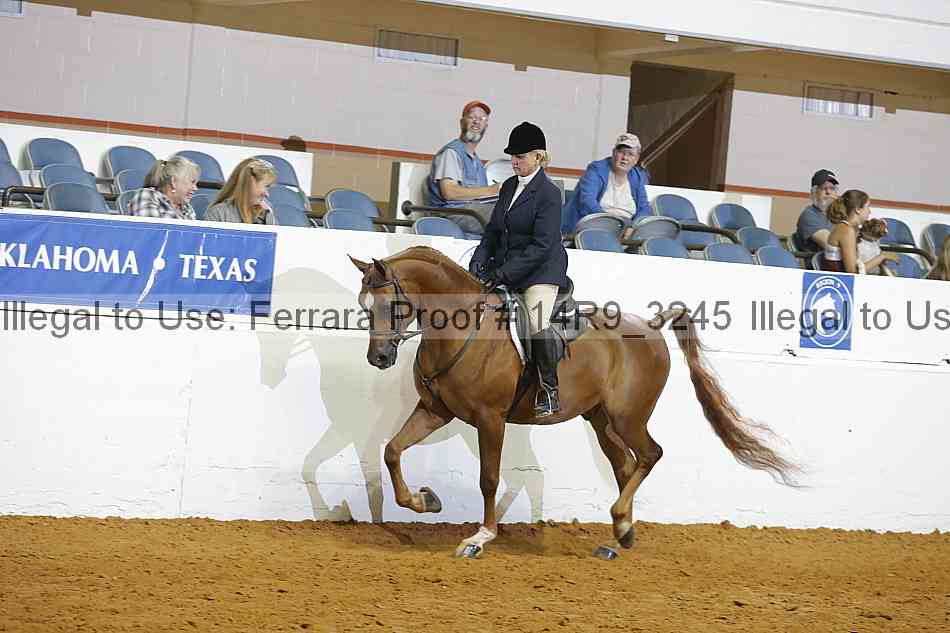 Proof Number 14r9_3245