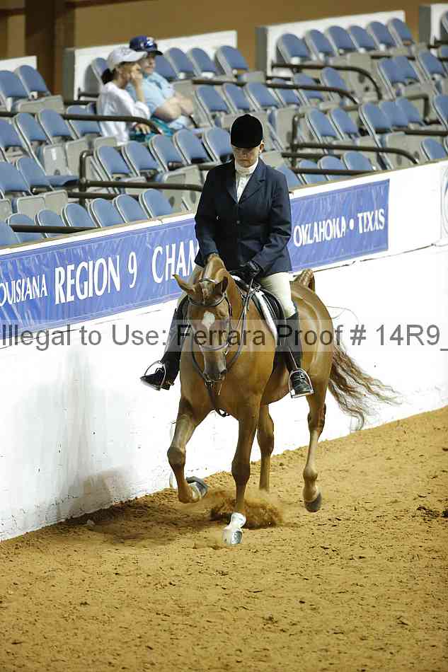 Proof Number 14r9_3251