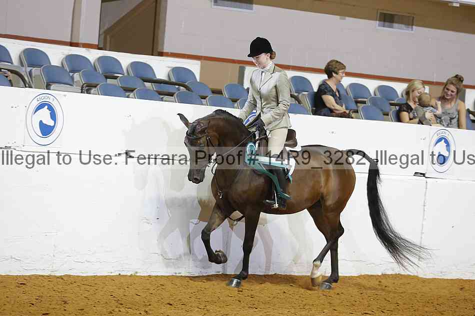 Proof Number 14r9_3282