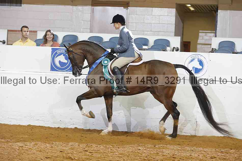 Proof Number 14r9_3291