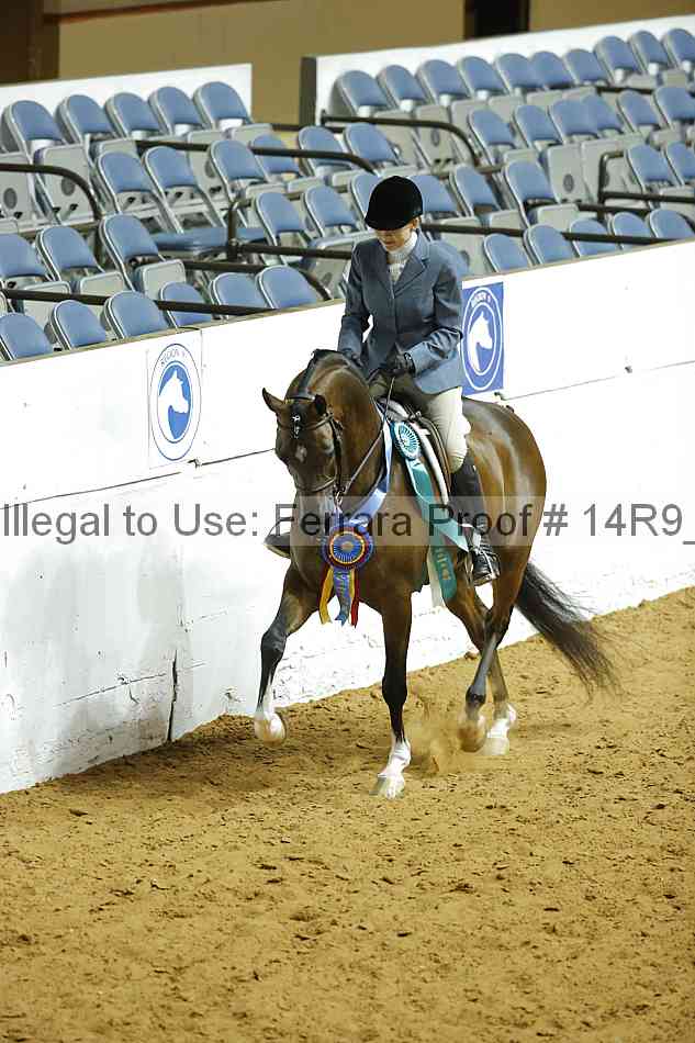Proof Number 14r9_3292