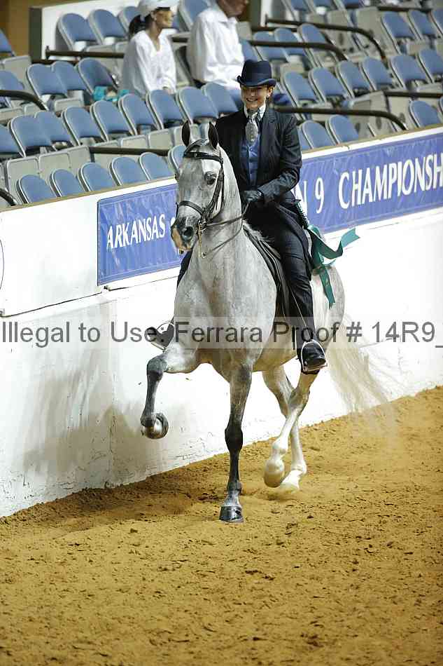 Proof Number 14r9_3331