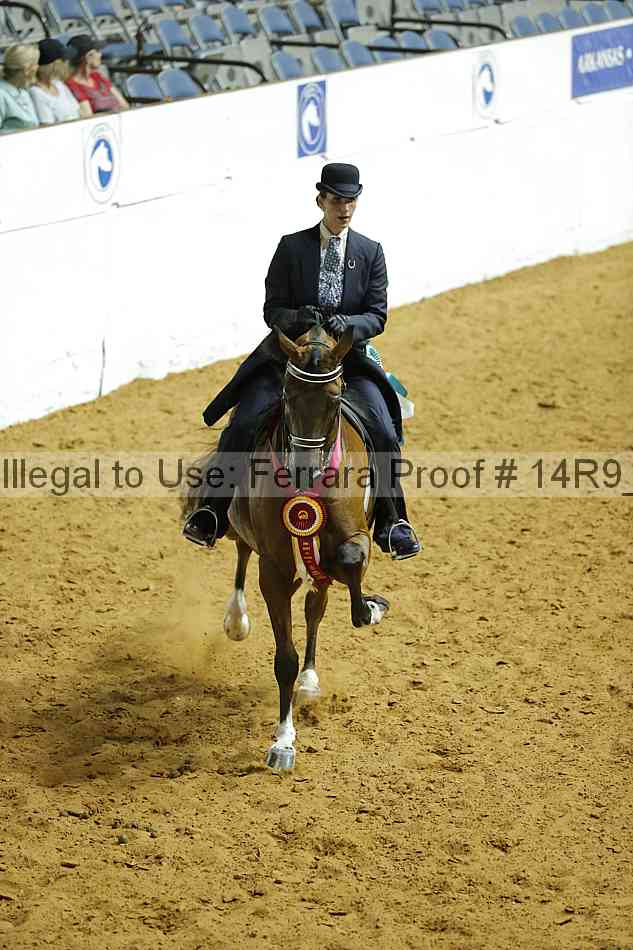 Proof Number 14r9_3340