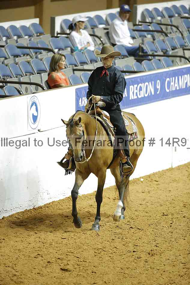 Proof Number 14r9_3374