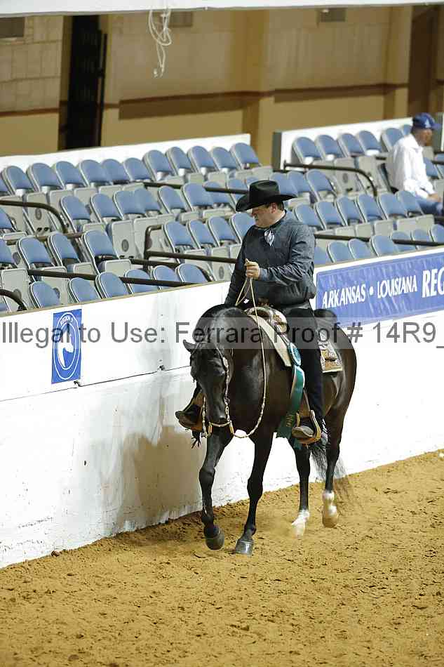 Proof Number 14r9_3389