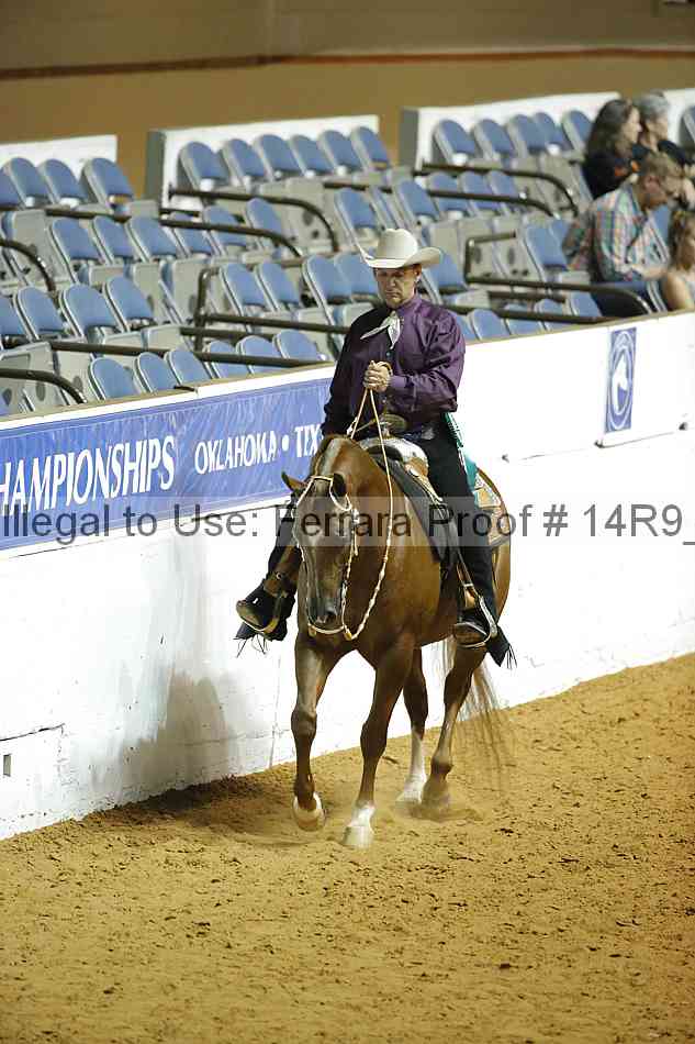 Proof Number 14r9_3393