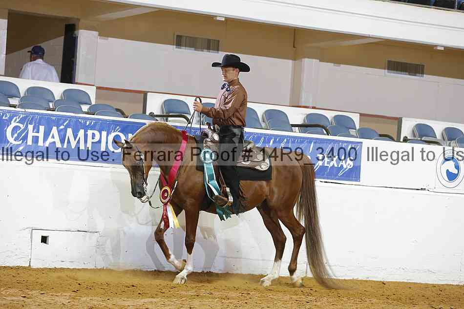 Proof Number 14r9_3400