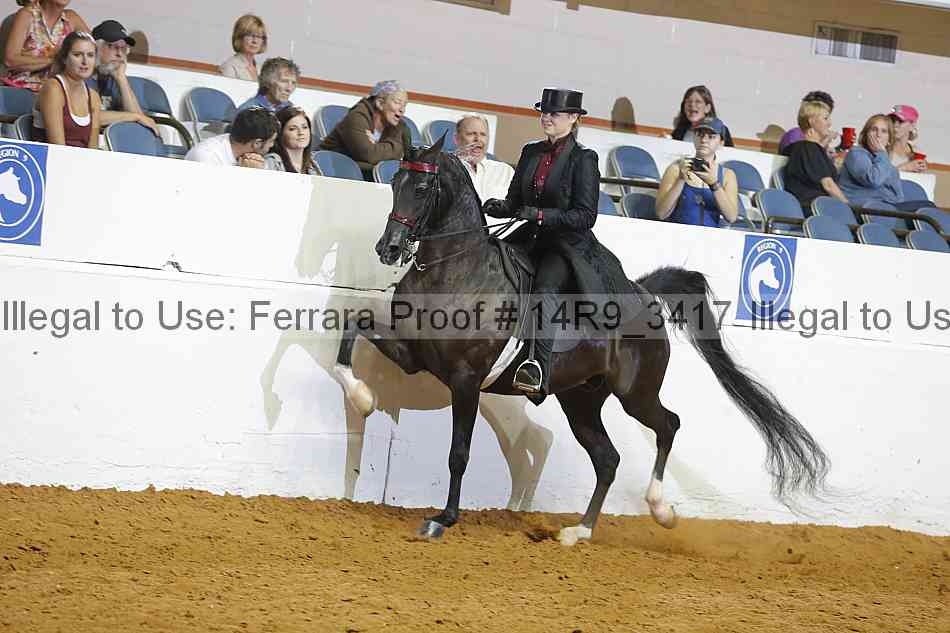 Proof Number 14r9_3417
