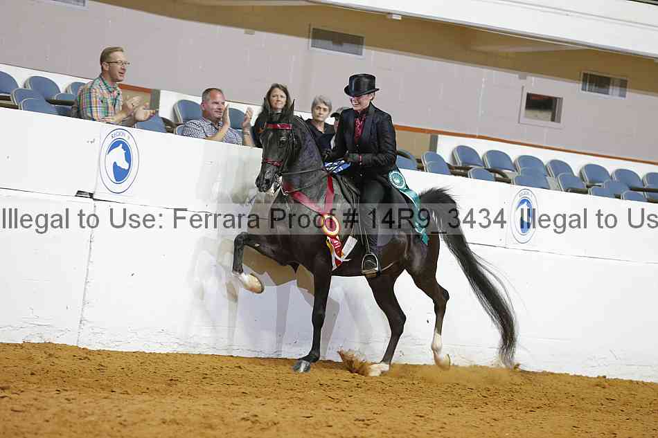 Proof Number 14r9_3434