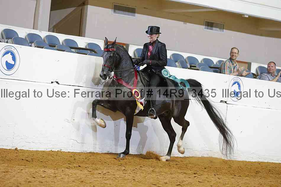 Proof Number 14r9_3435