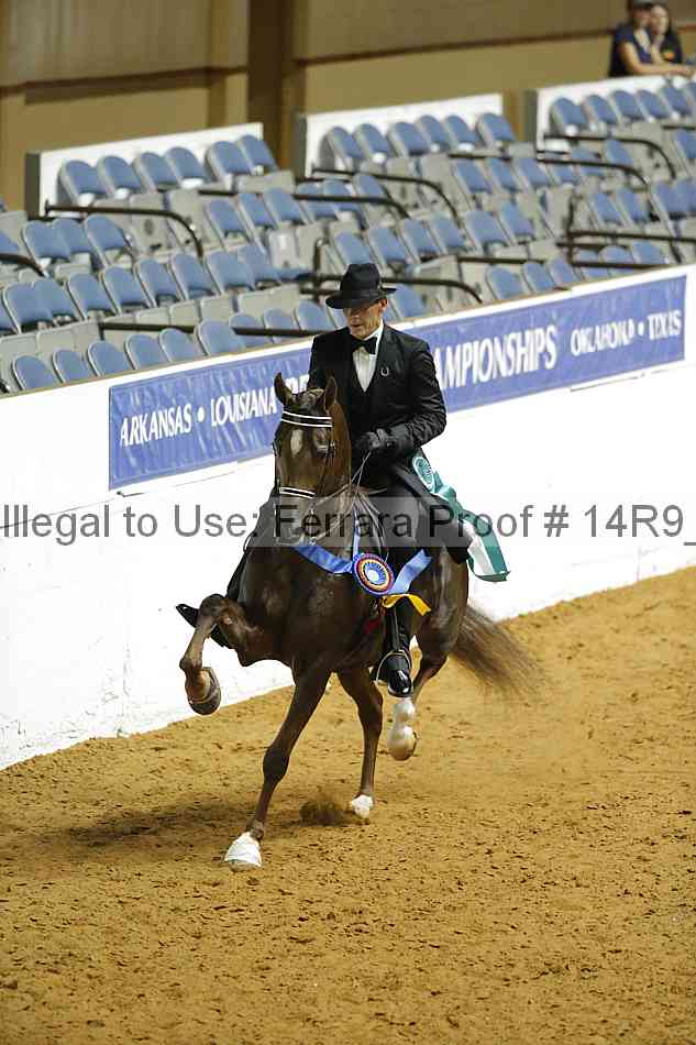 Proof Number 14r9_3447