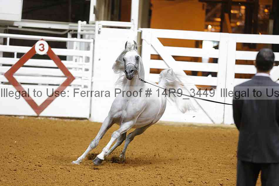 Proof Number 14r9_3449