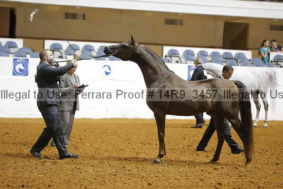 Proof Number 14r9_3457