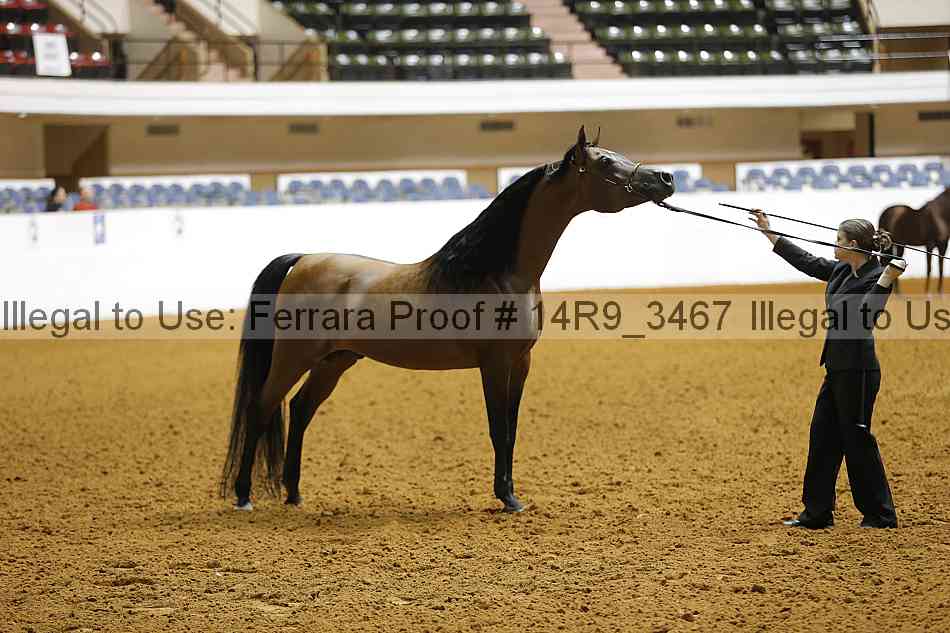 Proof Number 14r9_3467