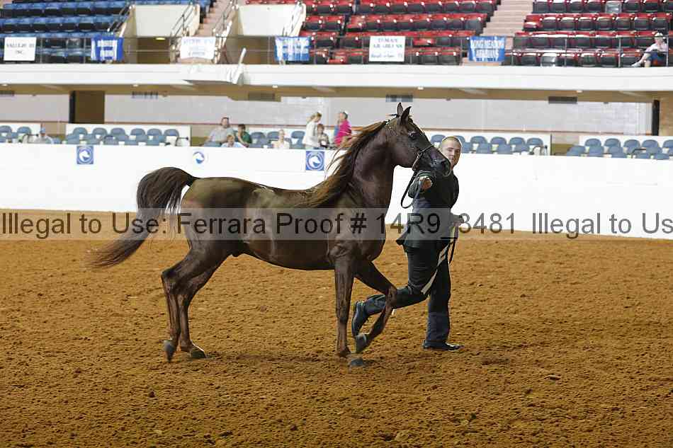 Proof Number 14r9_3481
