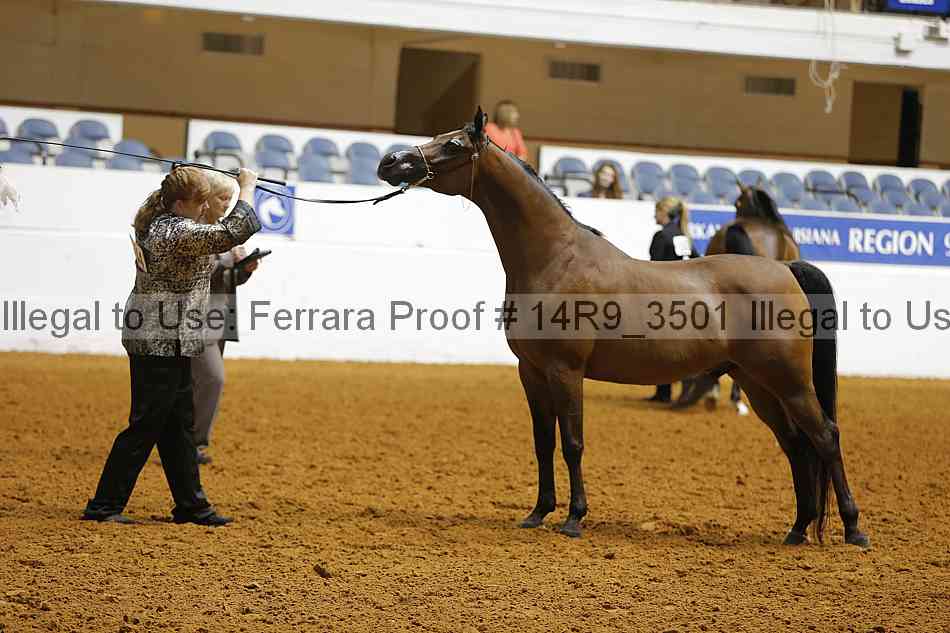 Proof Number 14r9_3501