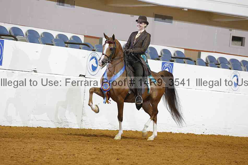 Proof Number 14r9_3541
