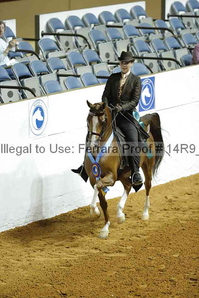 Proof Number 14r9_3546